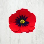 WWI / WWII - Image 3