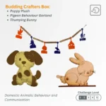 Domestic Animals: Behaviour and Communication Budding Box