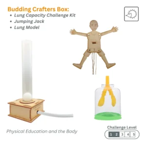 Physical Education and The Body Budding Crafters Box