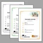 Domestic Animals